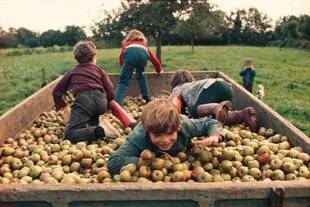 Réponses Photo 386 Vies ordinaires