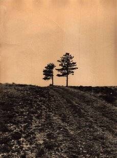 Réponses Photo 386 Évasion