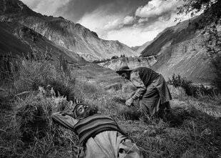 Réponses Photo 386 Au bord du silence