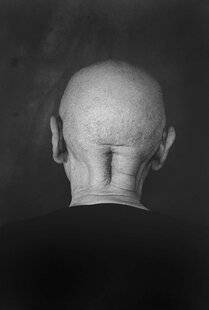 Réponses Photo 386 Exploration sensorielle