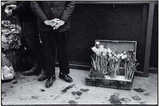 Réponses Photo 386 Naissance d'un regard