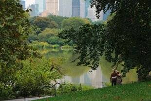 Réponses Photo 387 Les analyses critiques  de la rédaction