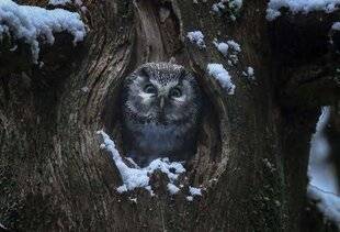 Réponses Photo 387 740 000