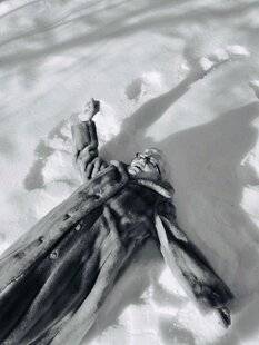 Réponses Photo 387 Derniers bonheurs