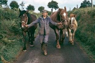 Réponses Photo 387 Retour à la terre