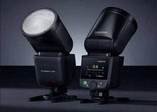 Réponses Photo 388 UN COBRA À TÊTE RONDE