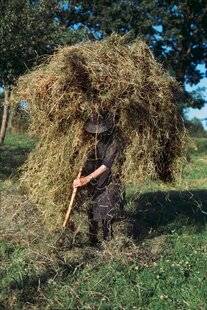 Réponses Photo 388 En terre bretonne