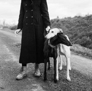 Réponses Photo 388 Les 5 gagnants