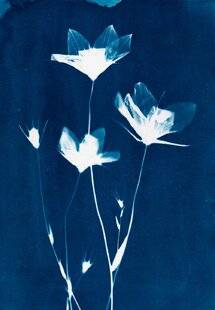 Réponses Photo 388 Planète en surchauffe