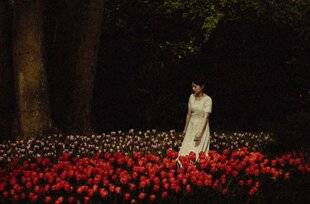 Réponses Photo 388 Mondes sensibles