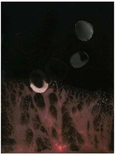 Réponses Photo 388 Nouveaux talents à découvrir