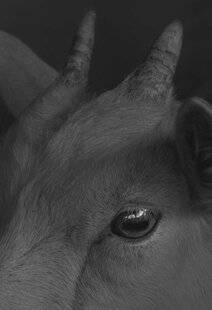 Réponses Photo 388 (Re)naissance