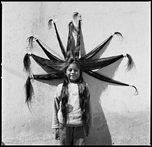 Réponses Photo 388 Crinières sacrées