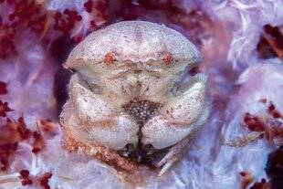 Réponses Photo 388 Mondes inconnus