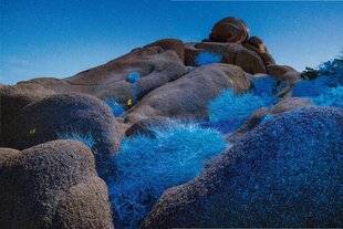 Réponses Photo 389 LES MYSTÈRES DE LA COULEUR