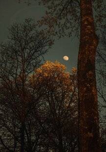 Réponses Photo 389 Laura Stevens