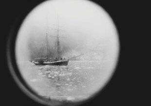 Réponses Photo 389 Vie polaire