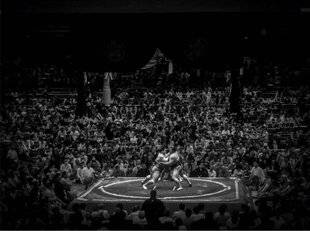 Réponses Photo 389 Les 5 gagnants