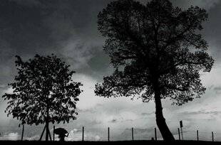 Réponses Photo 389 Les analyses critiques de la rédaction