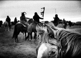 Réponses Photo 389 Chevauchées