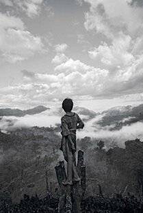 Réponses Photo 389 Immersion