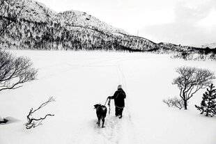 Réponses Photo 389 Chroniques littorales