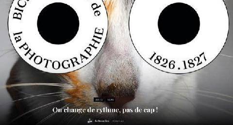 Réponses Photo 394 Changement de rythme pour 9 Lives