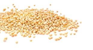 Top Santé 346 C'est vrai qu'il existe du quinoa cultivé en France ?