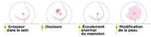 Top Santé 349 Les principales anomalies