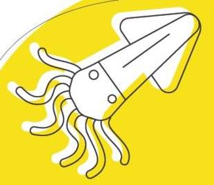 Top Santé 349 DES ANNEAUX DE CALAMARS