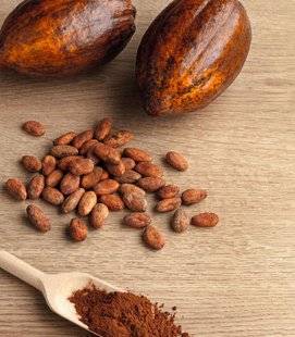 Top Santé 351 Zoom sur les fèves de cacao