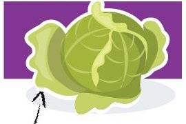 Top Santé 351 Contre les hémorragies