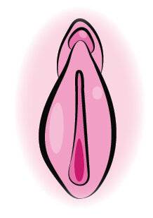 Top Santé 352 LE CLITORIS JOUE AUSSI DANS LA REPRODUCTION