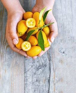 Top Santé 352 Le kumquat le mini-agrume vitaminé