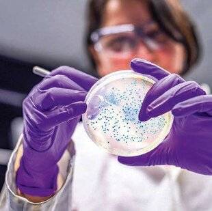 Top Santé 418 L'exposition à Escherichia coli pendant la petite enfance augmente le risque de cancer colorectal