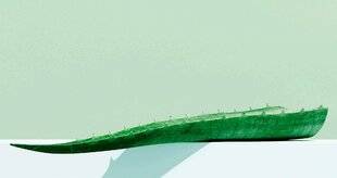 Top Santé 418 L'ALOE VERA