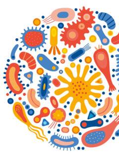 Top Santé 419 Un microbiote à tout faire
