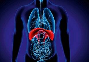 Top Santé 420 LE DIAPHRAGME : UN MUSCLE-CLÉ
