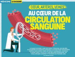 Top Santé 420 AU CŒUR DE LA CIRCULATION SANGUINE