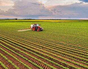 Top Santé 420 LE CADMIUM, À SUIVRE DE PRÈS