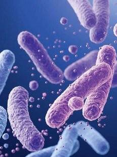 Top Santé 421 Le French Gut : participez à une grande étude pour élucider le lien entre microbiote intestinal et santé !