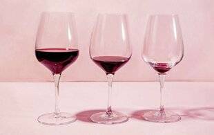 Top Santé 423 Vers moins d'alcool