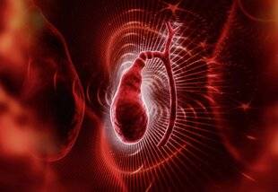 Top Santé 423 LA VÉSICULE BILIAIRE UN SAC DE BILE