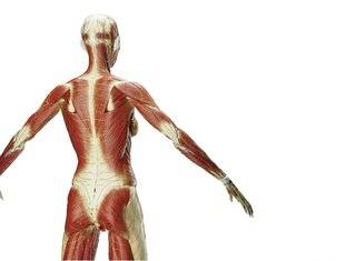 Top Santé 423 INCROYABLES FASCIAS