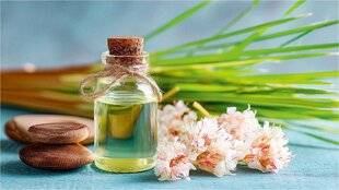 Top Santé 424 LE RÉFLEXE AROMATHÉRAPIE