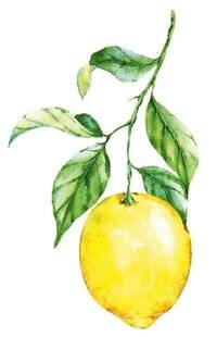 Top Santé 424 LE RECOURS À L'INHALATION