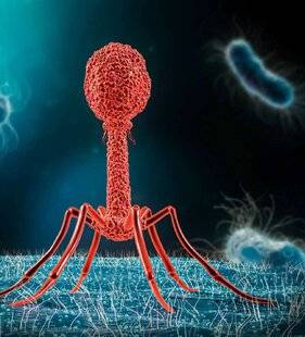 Top Santé 425 Belgique : quand des virus ciblent les bactéries multirésistantes