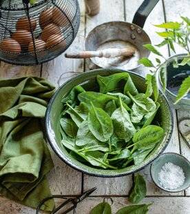 Top Santé 425 J'ai mauvaise haleine