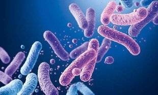 Top Santé 426 ET SI LA CLÉ CONTRE LE DIABÈTE DE TYPE 2 SE NICHAIT DANS NOTRE MICROBIOTE ?