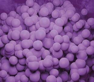 Top Santé 426 Cancer du cerveau UN DEUX-EN-UN PROMETTEUR